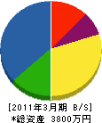 鈴木興産 貸借対照表 2011年3月期