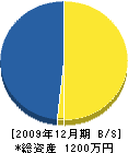 米田造園 貸借対照表 2009年12月期
