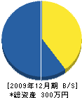 田中建築 貸借対照表 2009年12月期