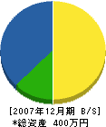 隠塚旭翠園 貸借対照表 2007年12月期