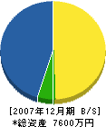 藤野組 貸借対照表 2007年12月期