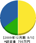 堀田塗装店 貸借対照表 2009年12月期