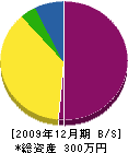 大前建設 貸借対照表 2009年12月期