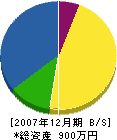 橋本商店 貸借対照表 2007年12月期