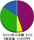 小沢工業 貸借対照表 2012年10月期
