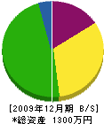小田電気 貸借対照表 2009年12月期