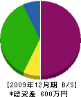 中嶋電工 貸借対照表 2009年12月期