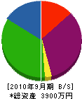 上野硝子建材 貸借対照表 2010年9月期