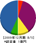 タムラコーポレーション 貸借対照表 2009年12月期
