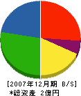 千葉産業 貸借対照表 2007年12月期