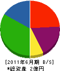 谷川開発 貸借対照表 2011年6月期