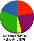 丸伸インダストリ 貸借対照表 2010年3月期