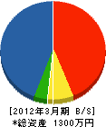 旭洋電業社 貸借対照表 2012年3月期