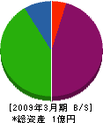 阪本建設興業 貸借対照表 2009年3月期