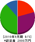 ハヤシ電工 貸借対照表 2010年9月期