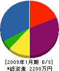 松崎衛生設備 貸借対照表 2009年1月期