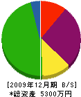 青沼建築 貸借対照表 2009年12月期