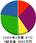 江藤ペンキ店 貸借対照表 2008年3月期