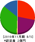 田中組 貸借対照表 2010年11月期