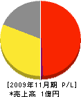 櫻井建材建設 損益計算書 2009年11月期