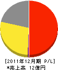 大阪共立 損益計算書 2011年12月期