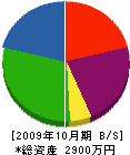 橋川設備 貸借対照表 2009年10月期