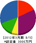 元川製畳 貸借対照表 2012年3月期
