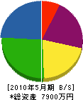 佐藤工業 貸借対照表 2010年5月期