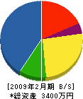 グリーン伊藤 貸借対照表 2009年2月期