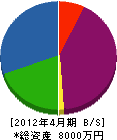 田中ブロック建設 貸借対照表 2012年4月期