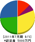 畳流通センター田中商店 貸借対照表 2011年7月期