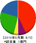 山静商会 貸借対照表 2010年6月期