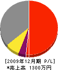 小田電気 損益計算書 2009年12月期