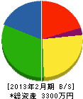 大沢光太郎建築塗装 貸借対照表 2013年2月期