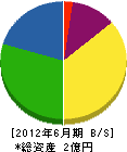 島田工業 貸借対照表 2012年6月期