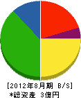 田中富開発 貸借対照表 2012年8月期