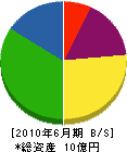新潟ガービッヂ 貸借対照表 2010年6月期