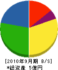 創電 貸借対照表 2010年9月期