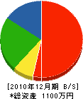 小川建築 貸借対照表 2010年12月期