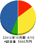 斎藤設備機々 貸借対照表 2012年10月期