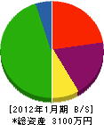 高田塗装 貸借対照表 2012年1月期