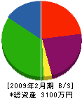 後藤電気商会 貸借対照表 2009年2月期