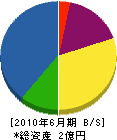 武村石材建設 貸借対照表 2010年6月期