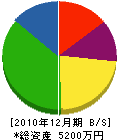 伊藤商会 貸借対照表 2010年12月期