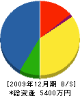 三浦電機工業所 貸借対照表 2009年12月期