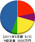 宮崎電気 貸借対照表 2011年9月期