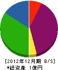 長崎壁装センター 貸借対照表 2012年12月期