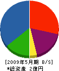 松本建設 貸借対照表 2009年5月期