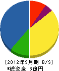 村川設備工業 貸借対照表 2012年9月期