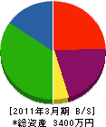 藤岡興業 貸借対照表 2011年3月期